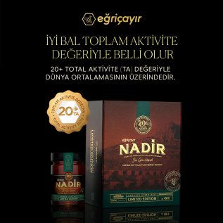 Eğriçayır Nadir Son Güz Hasatı Organik Çiçek ve Ardıç Balı TA20+