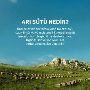 Eğriçayır Organik Arısütü Ampul Kids 20 x 1000mg