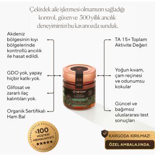 Eğriçayır Organik Çam Balı TA15+