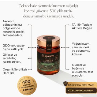 Eğriçayır Organik Çam Balı TA15+