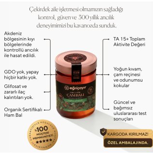 Eğriçayır Organik Çam Balı TA15+