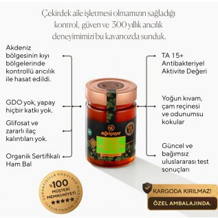 Eğriçayır Organik Çam Balı TA15+