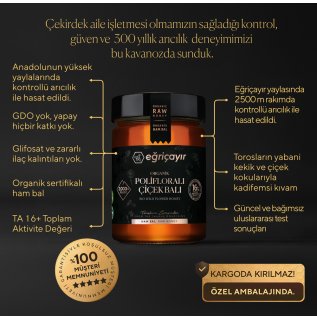 Eğriçayır Organik Polifloralı(Çok Çiçekli) Bal TA16+