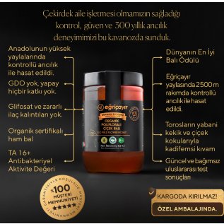 Eğriçayır Organik Polifloralı(Çok Çiçekli) Bal TA16+