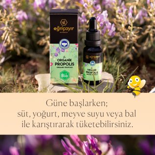 Eğriçayır Organik Propolis Damla Alkol Bazlı