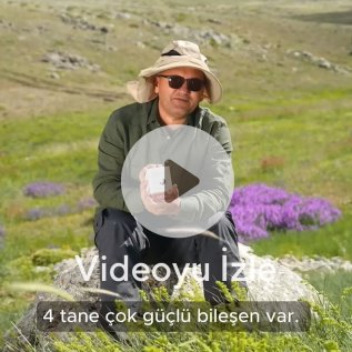 Apifarm Red Blend 4+ Kara Mürver + Acerola + Propolis + Ham Bal