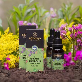 Organik Propolis Damla Alkol Bazlı