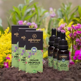 Organik Propolis Damla Alkol Bazlı