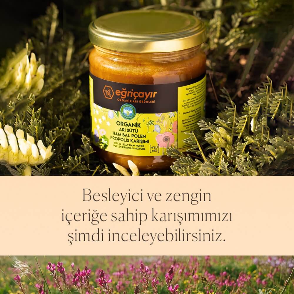 Organik Arı Sütü + Ham Bal + Polen + Propolis