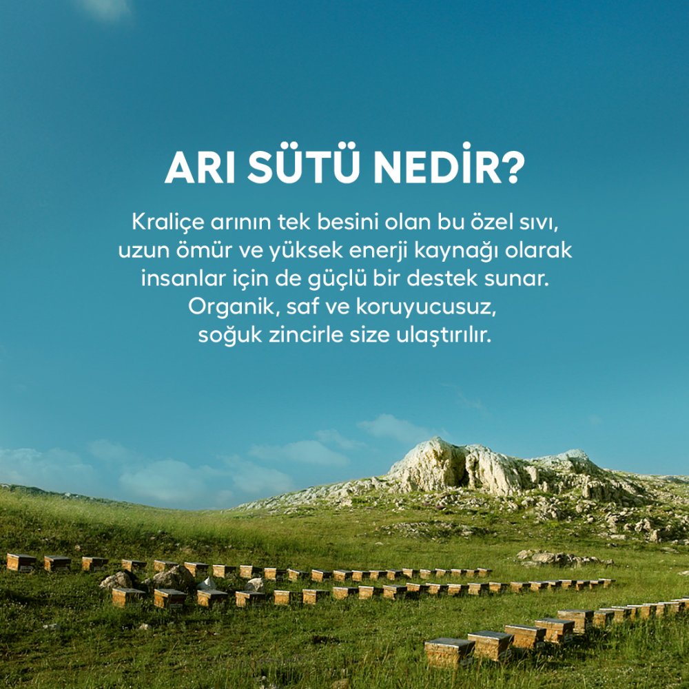 Organik Arısütü Ampul Kids 20 x 1000mg