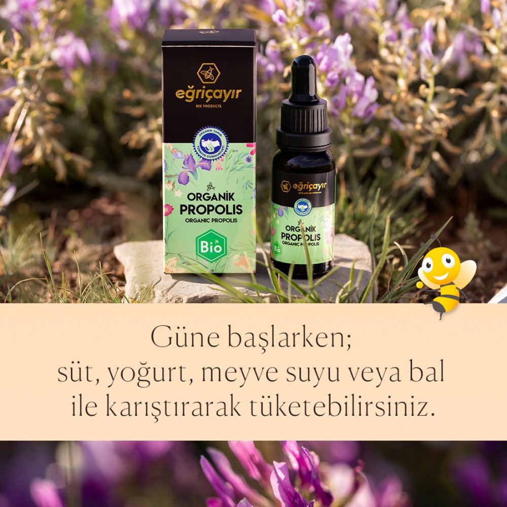 Organik Propolis Damla Alkol Bazlı