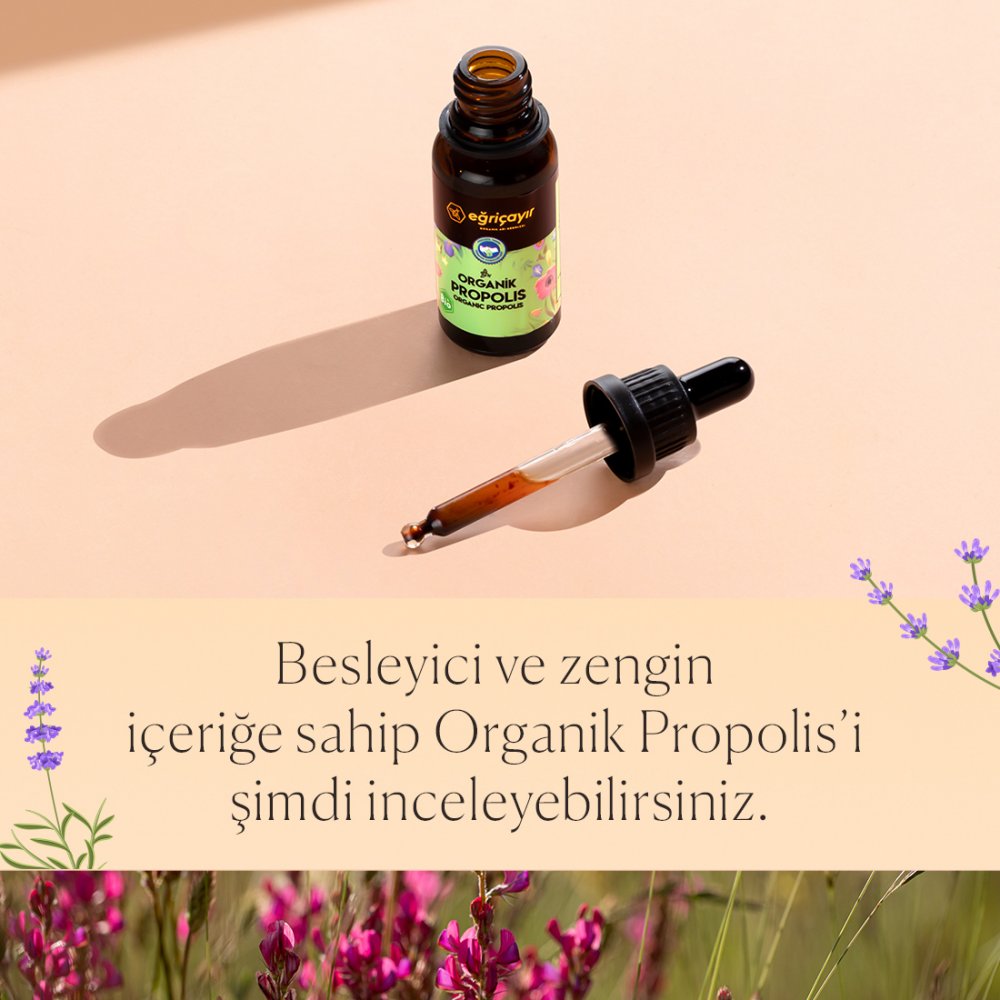 Organik Propolis Damla Alkol Bazlı