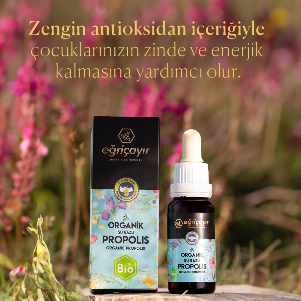 Organik Propolis Damla Su Bazlı